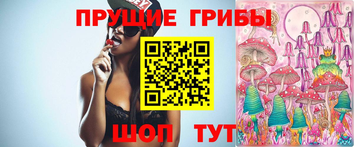 Псилоцибиновые грибы MAGIC MUSHROOMS Новоалександровск