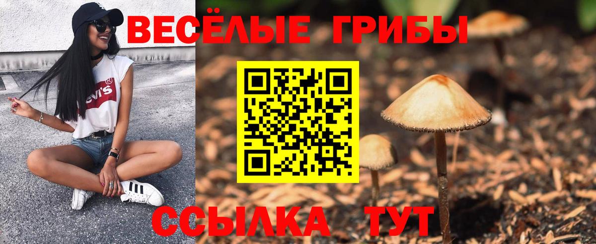 Псилоцибиновые грибы Cubensis  Вход с VPN  Новоалександровск 