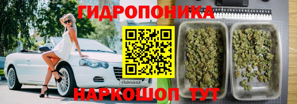 Канабис AK-47  Канабис SATIVA & INDICA  Вход с VPN  Новоалександровск  Каннабис OG Kush 